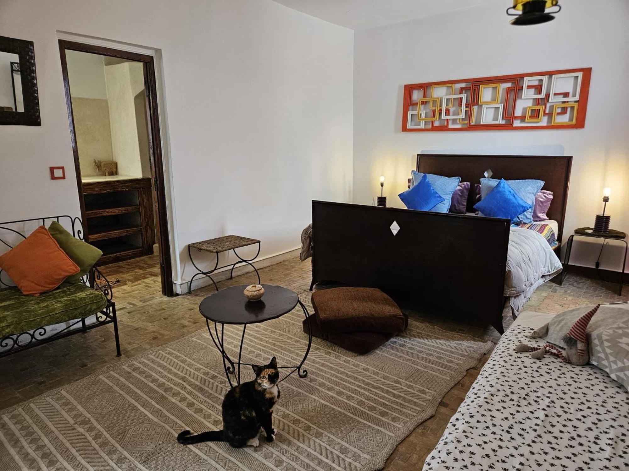 Les Terrasses D'Essaouira - Yoga Studio ภายนอก รูปภาพ